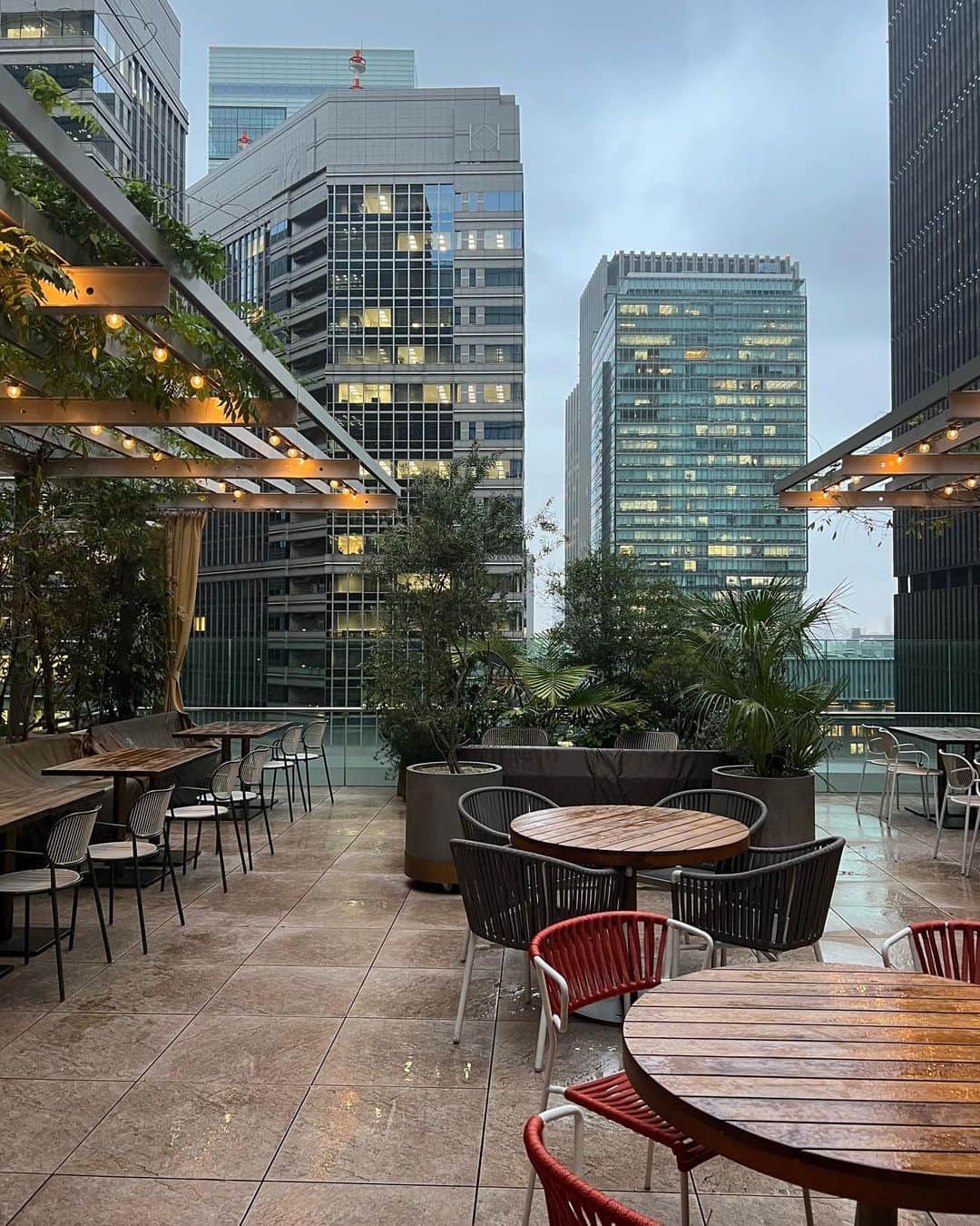 藤井悠のグルメインスタ