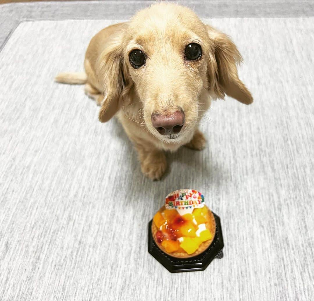 BETTYのインスタグラム
