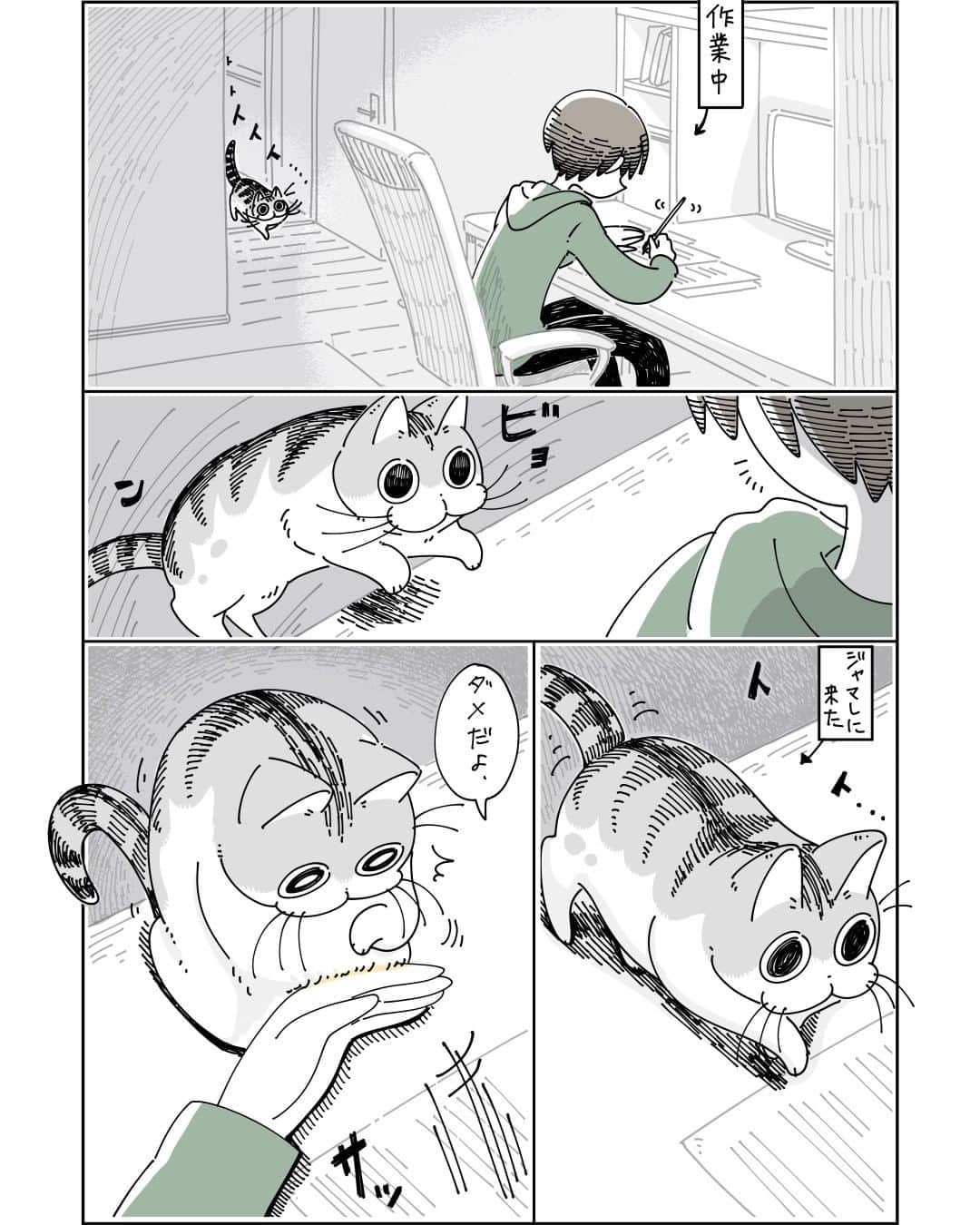 キュルZのインスタグラム：「ネコのジャマを阻止したい  #キュルガ #夜は猫といっしょ #猫 #猫漫画 #猫のいる暮らし」