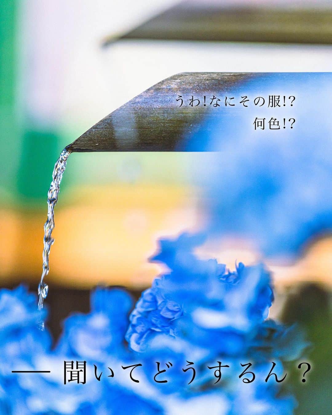 田津原理音さんのインスタグラム写真 - (田津原理音Instagram)「自動水あげ機もありました！  location:nara date:2022.06.28 #とりあえず名前知りたがるやつ#写真と一言 #広がり同盟  #写真を止めるな #はなまっぷ #私の花の写真 #japan_city_blues #myjapan #jalan_travel #ptk_japan #retrip_nippon #raw_community #jp_gallery #sorakataphoto #s_shot #japan_bestpic_ #japan_great_view #best_photo_japan #art_of_japan_ #nipponpic #tokyocameraclub #love_bestjapan #photogram_archive #japaoonline #nipponpic #total_japan #japan_daytime_view  #sunsetphotography  #as_archive #eosr #ef70200f4lisusm」7月6日 22時40分 - rion_tadzuhara