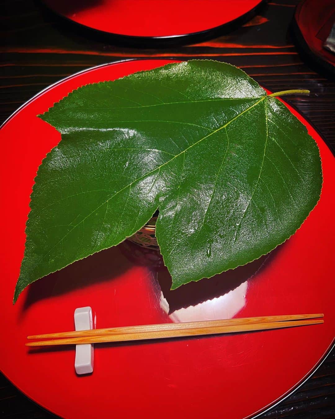 三島葉子のインスタグラム：「【kyoto】七夕ですね。京都花脊の梶の葉はもうこんなに大きく成長しているみたいです。大きな梶の葉蓋を取ると花籠に野趣溢れる八寸が！ 真ん中の緑色の山菜は？ 山葡萄の新芽🍇で「しおで」と言います。 初めて食べました！  #久しぶりの投稿 #七夕 #八寸  #水蕗 #稚鮎 #田螺 #しおで #蕨 #川海老 #京都花脊 #フードコーディネーター  #三島葉子」