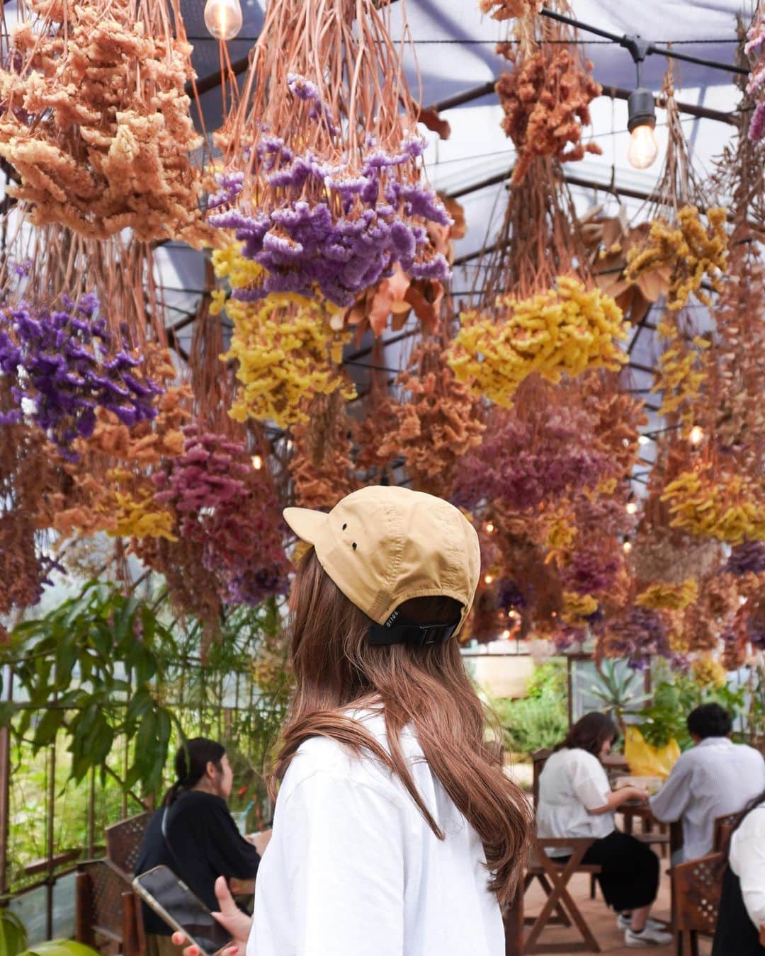 志田友美（ゆうみん）のインスタグラム：「🌵🧡  土日祝しか営業してない川崎にある植物園🪴  とにかく広くて種類も豊富でテーマパークだった、、  緑に囲まれて何時間もいたなぁ  おうち用にたくさん観葉植物買ってもうて💸  落ち着いたらまた来よう♡  おすすめ( '-' )❕  📍SOLSO FARM 神奈川県川崎市宮前区西野川2-6  #solsofarm #ソルソファーム #植物園 #観葉植物 #多肉植物」