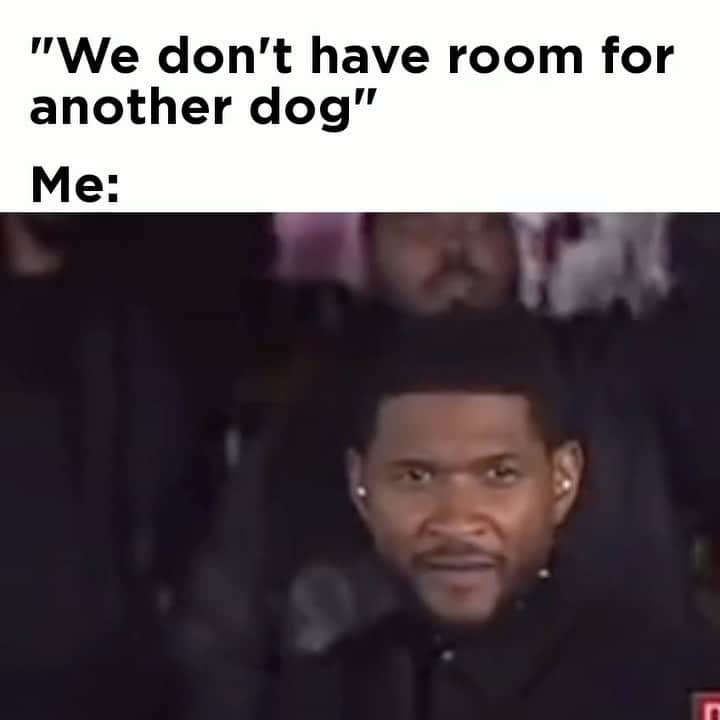 BarkBoxのインスタグラム：「We can get a bigger couch 😏   #Barkbox #dogsofinstagram #dogs」