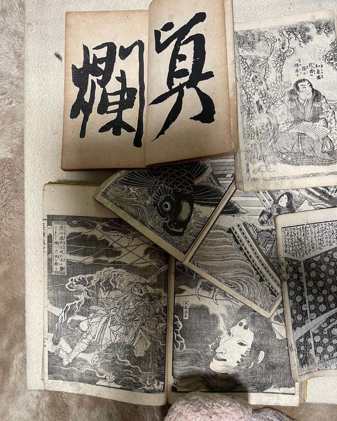 中野義仁のインスタグラム：「From the more than 200 small art books in Edogawa Ward, I found a person who could be used for tattooing from a book that suits my room.」