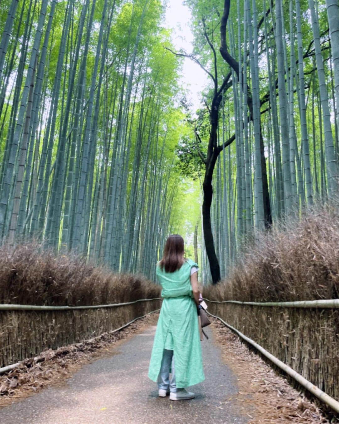 川原由維さんのインスタグラム写真 - (川原由維Instagram)「💚🎋💚🎋💚🎋💚  #7.7 #七夕 #mylan #kyoto」7月7日 9時39分 - yui5520