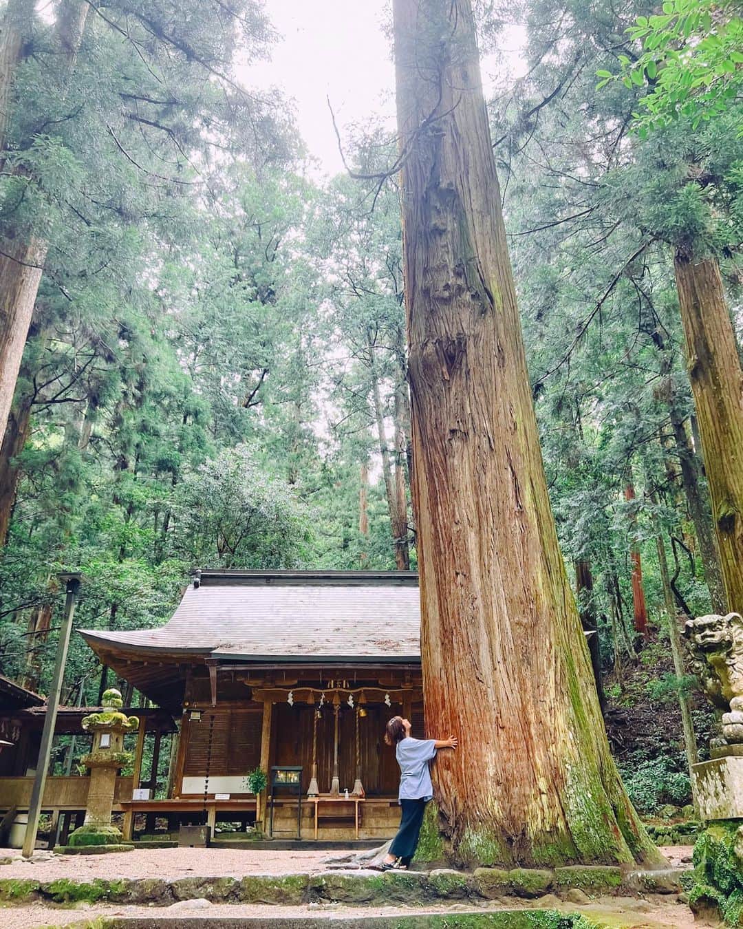 稲富菜穂のインスタグラム：「こないだ龍穴神社へ行って パワーを沢山頂いてきました🐉⛩  昔からある神社でね、 鳥居にも藻が沢山あるし木々たちもとにかく迫力が凄い！  少し神社から離れた場所にある 龍神さまがおられたという穴も行けて ぞくぞくっとしました。  近くの滝も勢いが良くて 龍が降って行くように見えました🐉  厳かな雰囲気に圧倒されたけど 心地よい空気間を感じて不思議な気持ちでした✨  #室生龍穴神社 #龍穴神社」
