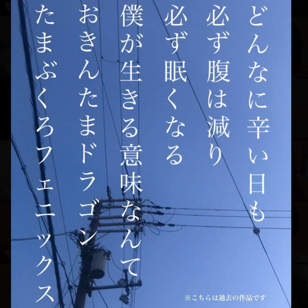 たいせいさんのインスタグラム写真 - (たいせいInstagram)「お前らお待たせ。これが欲しかったんやろ？ 人生豊かにしたい奴はとりあえず読んでみ、悩み全部ぶっ飛ぶぞ。本日より予約開始。  たまぶくろT初エッセイ、現代社会を生き抜く若者たちのためだけに一冊の本を書きました。俺の脳内曝け出したった。 たまぶくろTの天才的な見解、考え方が好きな人は絶対読んでくれ。刺さるぞ。 僕を知らない方でも、現代社会を生きる若者たち全員に刺さるように書いたから読んでみ。今の自分を超越できるぞ。  たまぶくろ教公式入信証収録。俺の過去、天才的ポエム、イケメン写真多数登載。  #たまぶくろ教入信 ←これ付けてTwitterとインスタ投稿してくれや！トレンド入りさせてくれやぁ！！  僕が本を出版できたのは、応援してくれるたまぶくろ教のみんながいてくれたおかげです。ほんまにありがとうな大好き♡」7月7日 19時10分 - t_tamabukuro