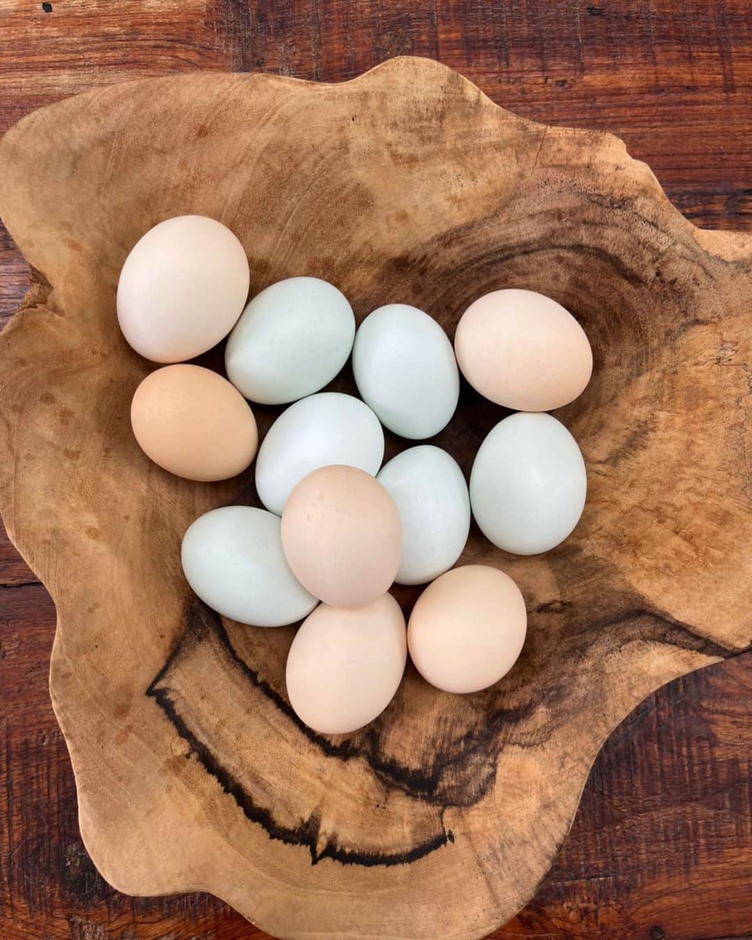 大田由香梨さんのインスタグラム写真 - (大田由香梨Instagram)「青い卵と茶色い卵🪺  我が家(千葉)のそばの直売所で販売されている平飼い卵さんたち  青はアローカナという種類の卵、そして茶色は房総地鶏の卵です。  どちらも小ぶりで自然な黄身の色、優しい味なんです。 卵は自然が1番です。  そして生命の神秘と恵みに感謝の日々です🙏🏻✨  生産者さんは覚醒農法という農法で、コーヒーやバナナなどはじめとして、平飼い卵を生産している「千の国」という農家さん👩‍🌾  まだ農園へお伺いしたことはないのですが、HPに書いてある言葉に、信頼を感じます。  いつかはトリさんも自宅でと思いますが、まだまだ東京との行き来の暮らし。出張もある生活なので、こうやって、安心安全な新鮮な卵を手に入れられることが本当にありがたい事です☺️🙏🏻  千葉に通い始めて2年目。  素晴らしい生産者さんが千葉にはたくさんいらっしゃいます🕊  場所が完成したら、千葉の魅力、千葉の農家さんもっともっと伝えていきますね🕊✨」7月7日 21時16分 - otayukari