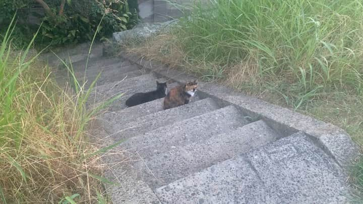 三浦隆一のインスタグラム