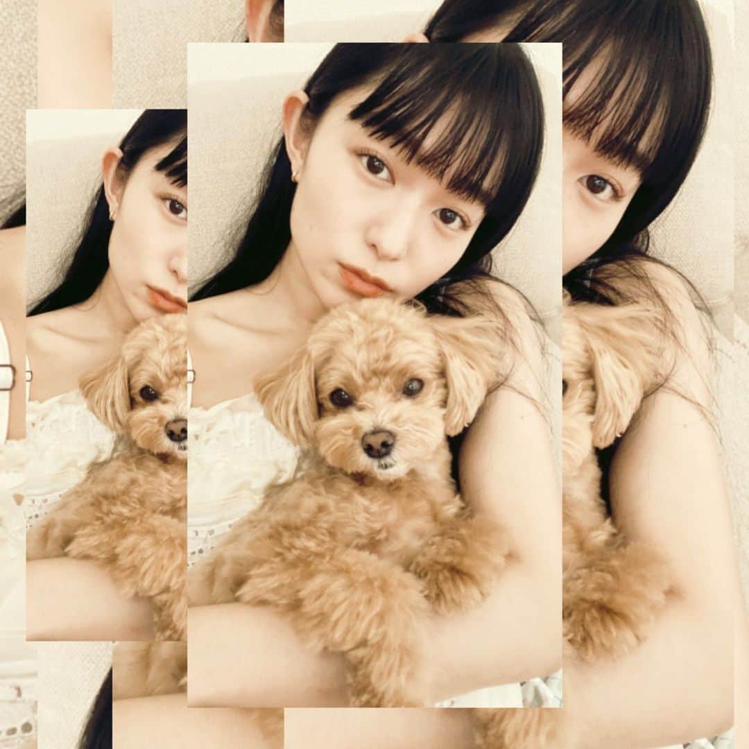 阿部朱梨のインスタグラム：「夏でもかわらずぴたっとしてくるの かわい🥹💛  そして最近こっそりダイエットしてて ちょっと痩せてきた嬉しい😉  やっぱ動いて痩せるのが 身体も心もととのうきがする♡ 走るの未だに苦手だけど🤣」