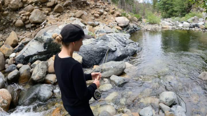 Brent Ehrlerのインスタグラム