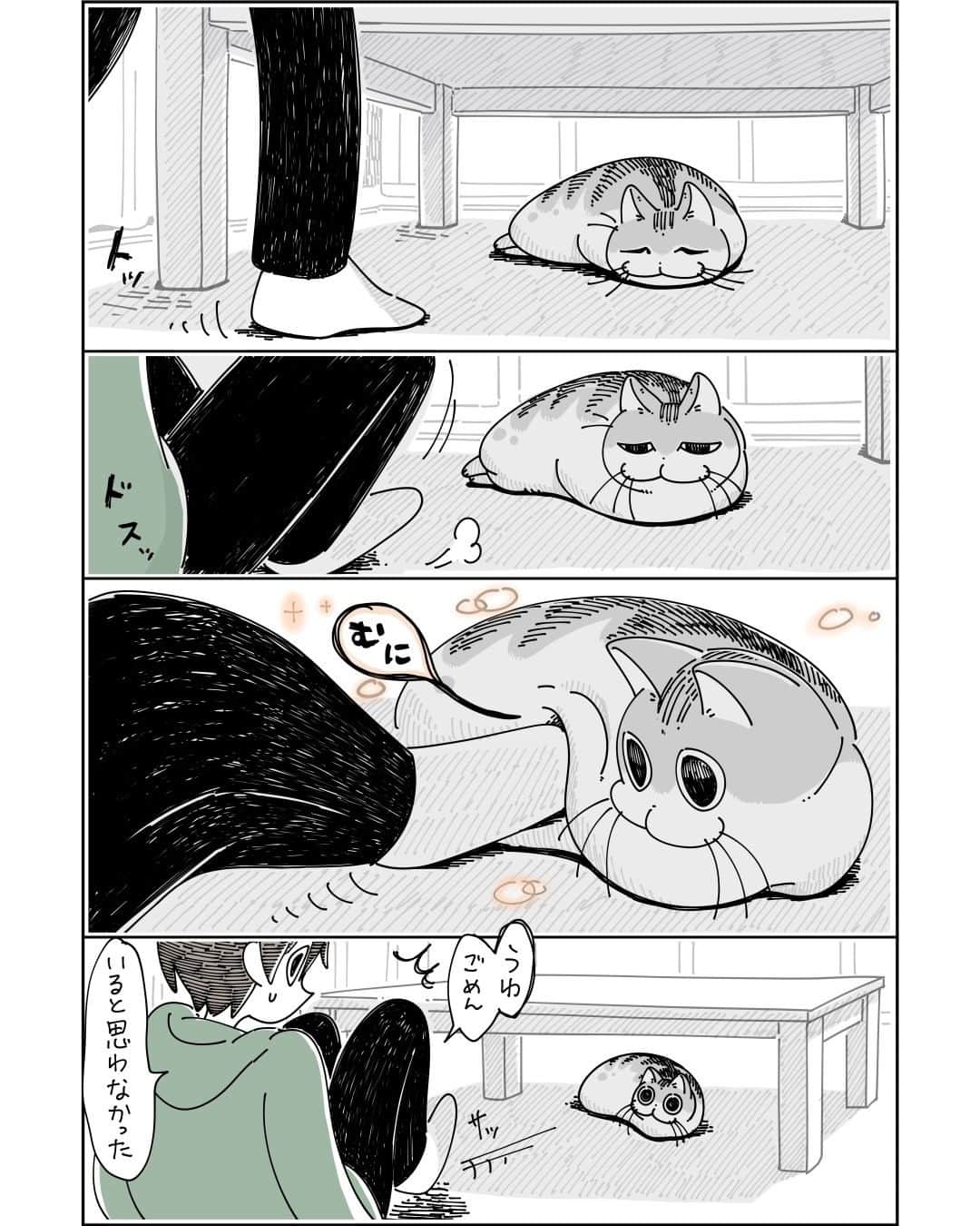 キュルZのインスタグラム：「不意にネコを触ると  #キュルガ #夜は猫といっしょ #猫 #猫漫画 #猫のいる暮らし」