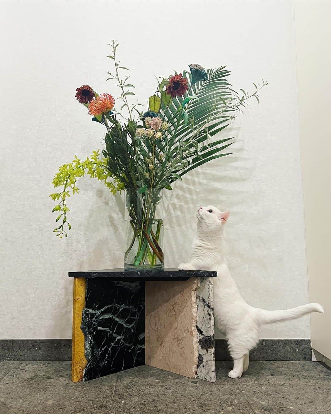 ダニョ（鈴木えみ）のインスタグラム