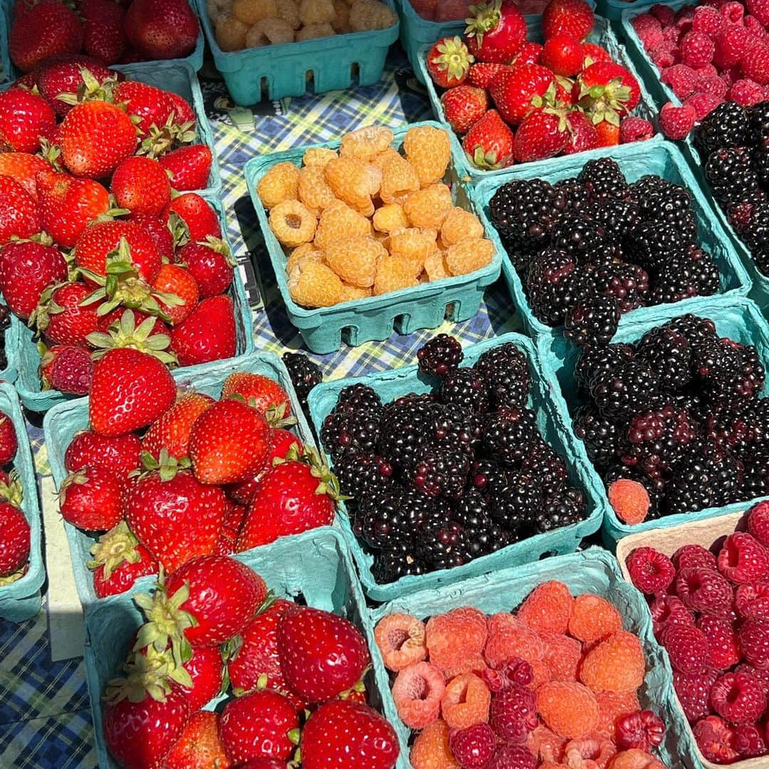 Maddi Braggさんのインスタグラム写真 - (Maddi BraggInstagram)「one thing about me is i will be at the market every sunday 👩🏼‍🌾」8月8日 8時17分 - maddibragg