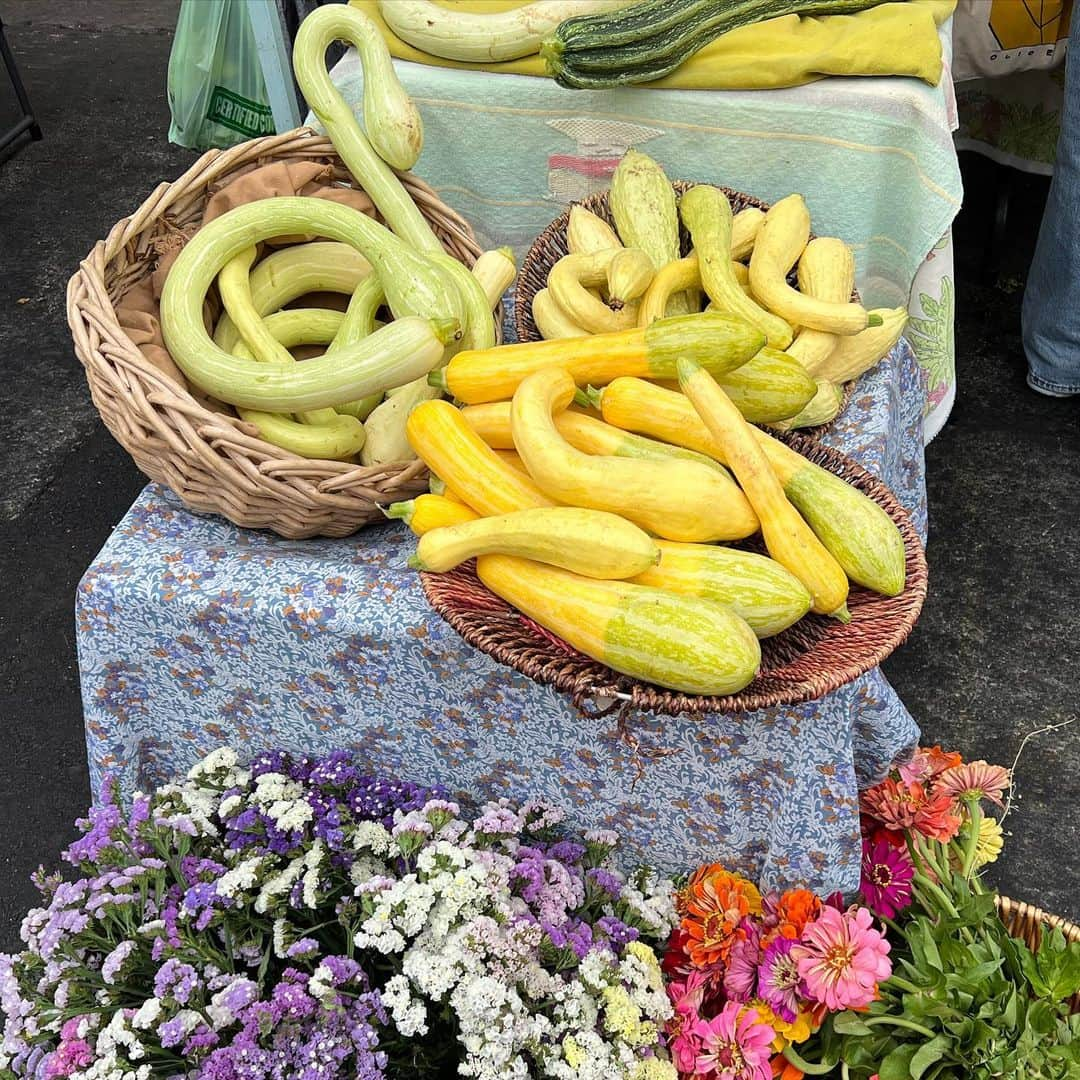 Maddi Braggさんのインスタグラム写真 - (Maddi BraggInstagram)「one thing about me is i will be at the market every sunday 👩🏼‍🌾」8月8日 8時17分 - maddibragg