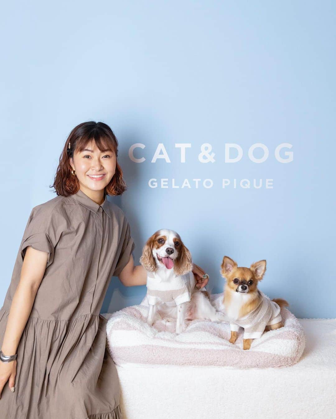 村上佳菜子のインスタグラム：「. ビビ様が大暴れで大変だったけど、 神的ショットしてくれました😂 そして2枚目は、姉さんまゆちゃん❤️ ぽんちゃんはビビ達にとっても 家族のような存在です🐶🐶🐶🌈❤️🌼 . . 8.10（WED）START GELATO PIQUE CAT&DOG . @mayukoarisue  #gelatopique #ジェラートピケ #gelatopique_cat_dog #ジェラートピケキャットドッグ #猫グッズ #犬グッズ」