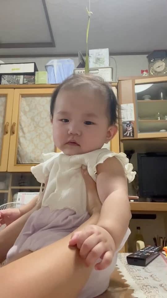 白川陸斗のインスタグラム：「海原はるか・かなたのギャグをすると喜ぶ娘」