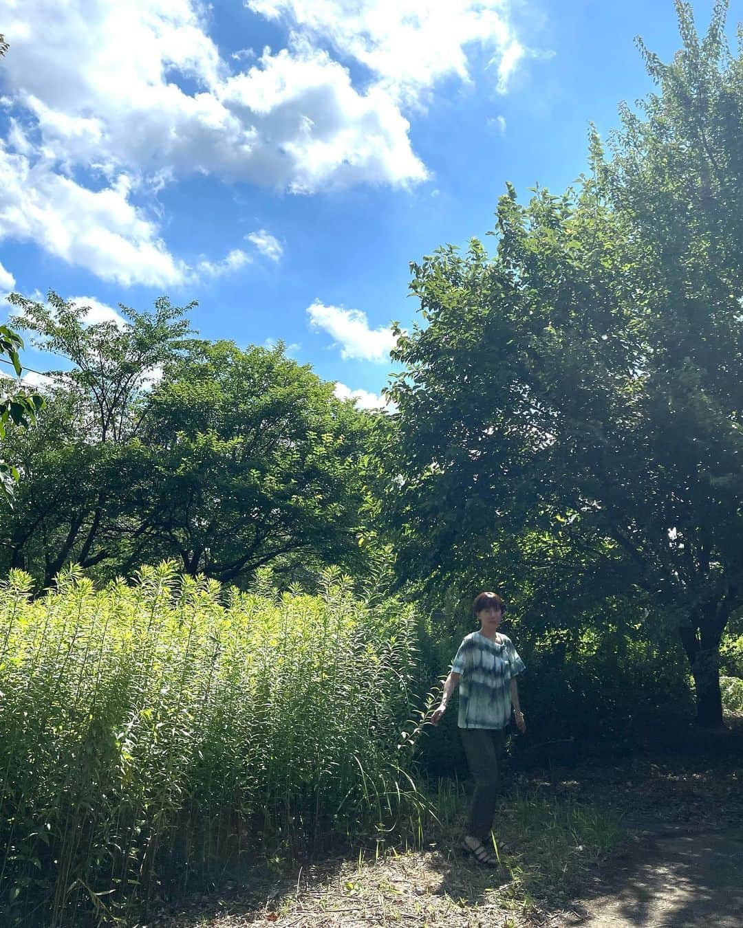 鈴木砂羽のインスタグラム：「夏の緑の中に 馴染みすぎてます🌿  壁に張り付いていたコ🦎に一瞬 エエェ⁉️と 驚いたんだけど、 よく見たら、、、🤣💦  #相棒 #相棒21 #夏ロケ 🦎 #貼り付けてあったワ♡ #カワイイ」