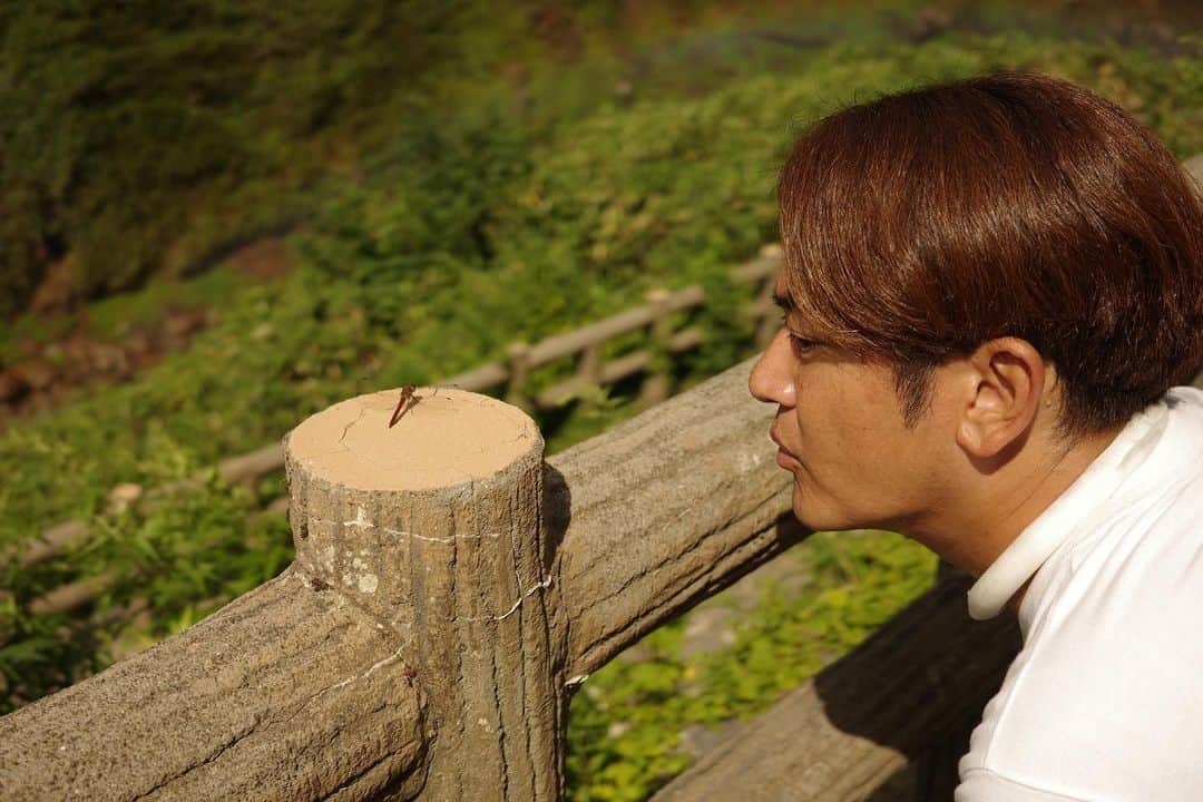 中西茂樹さんのインスタグラム写真 - (中西茂樹Instagram)「従兄弟よ。良い写真が撮れました。世に轟け、那須晃行。 #なすなかにし #従兄弟 #自然にとんぼに集中 #もうちょっとこっちも見なさい」8月5日 0時13分 - nasunakanakanishi