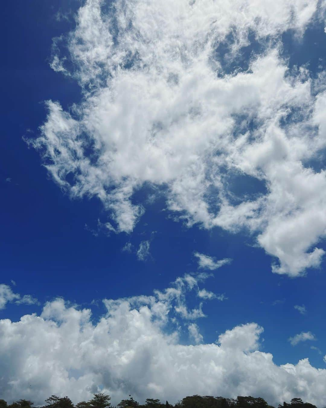 内田恭子さんのインスタグラム写真 - (内田恭子Instagram)「Looking up the summer sky.  夏空。  #夏 #summer #sky #大空 #夏空 #内田恭子 #kyokouchida」8月4日 16時40分 - kyoko.uchida.official