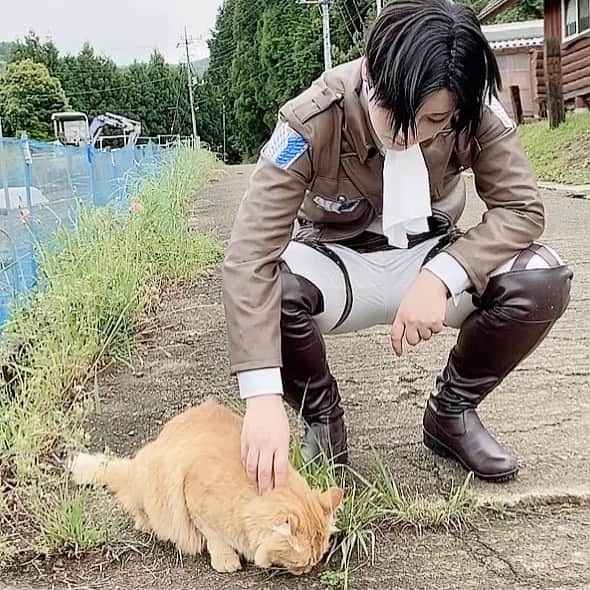 のインスタグラム：「I was healed by the cat.🐈💕  I like dogs & cats.」