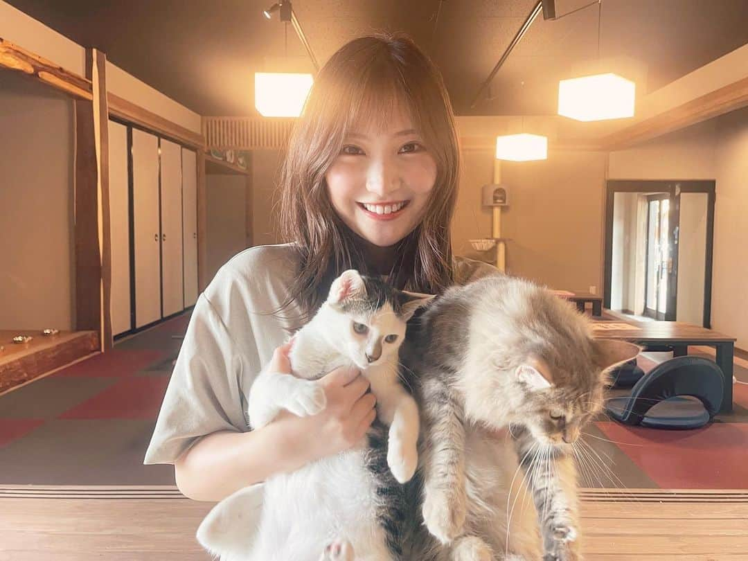 野村彩也子さんのインスタグラム写真 - (野村彩也子Instagram)「. 人懐っこいネコちゃんたち🐈  バタバタな中継の時も 抱っこさせてくれました🐾  ありがとう〜😚 . . . .」8月4日 19時18分 - nomurasayako