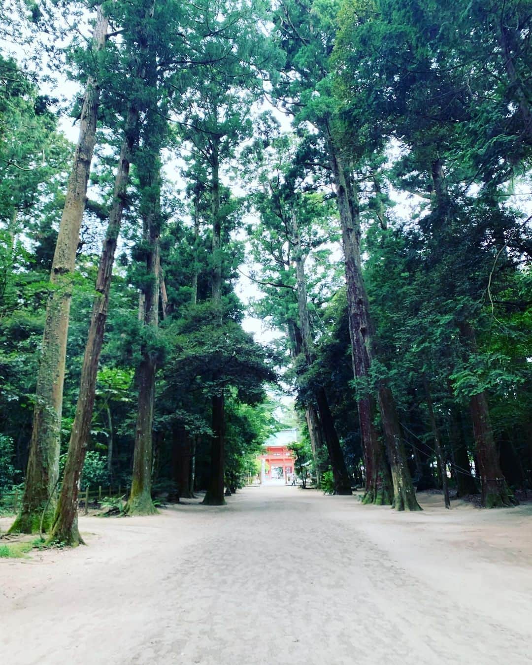 川上大輔さんのインスタグラム写真 - (川上大輔Instagram)「タイミングが重なり、一年半ぶりに鹿島神宮へお詣り行くことができました！」8月4日 21時39分 - kanatataiga