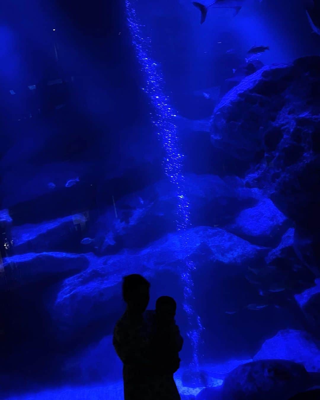 のえるのインスタグラム：「. 2人の時も好きだったけど 3人で来てもっと好きになった🐠𓈒𓂂𓏸 . . . #デート #水族館 #水族館デート #すみだ水族館 #スカイツリー #家族の時間 #思い出 #family #夏の思い出」