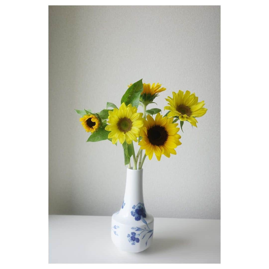 高垣麗子さんのインスタグラム写真 - (高垣麗子Instagram)「* おはようございます  夏らしく向日葵をリビングに🌻 数種類並ぶ向日葵を一種類ずついけるのが好きです 今日は二種類だけど、チビがいる かわいいな　＾＾  フラワーベースはROYAL COPENHAGEN  「blomst」シリーズが大好きで、お皿やカップなど少しずつ集めているんだけど フラワーベースも加わり幸せです♡  今週はずっと分刻みに近いスケジュール だからこそ、お花を 心がふと落ち着く𓂃𓂃  * #flower #royalcopenhagen」8月5日 9時27分 - reikotakagaki
