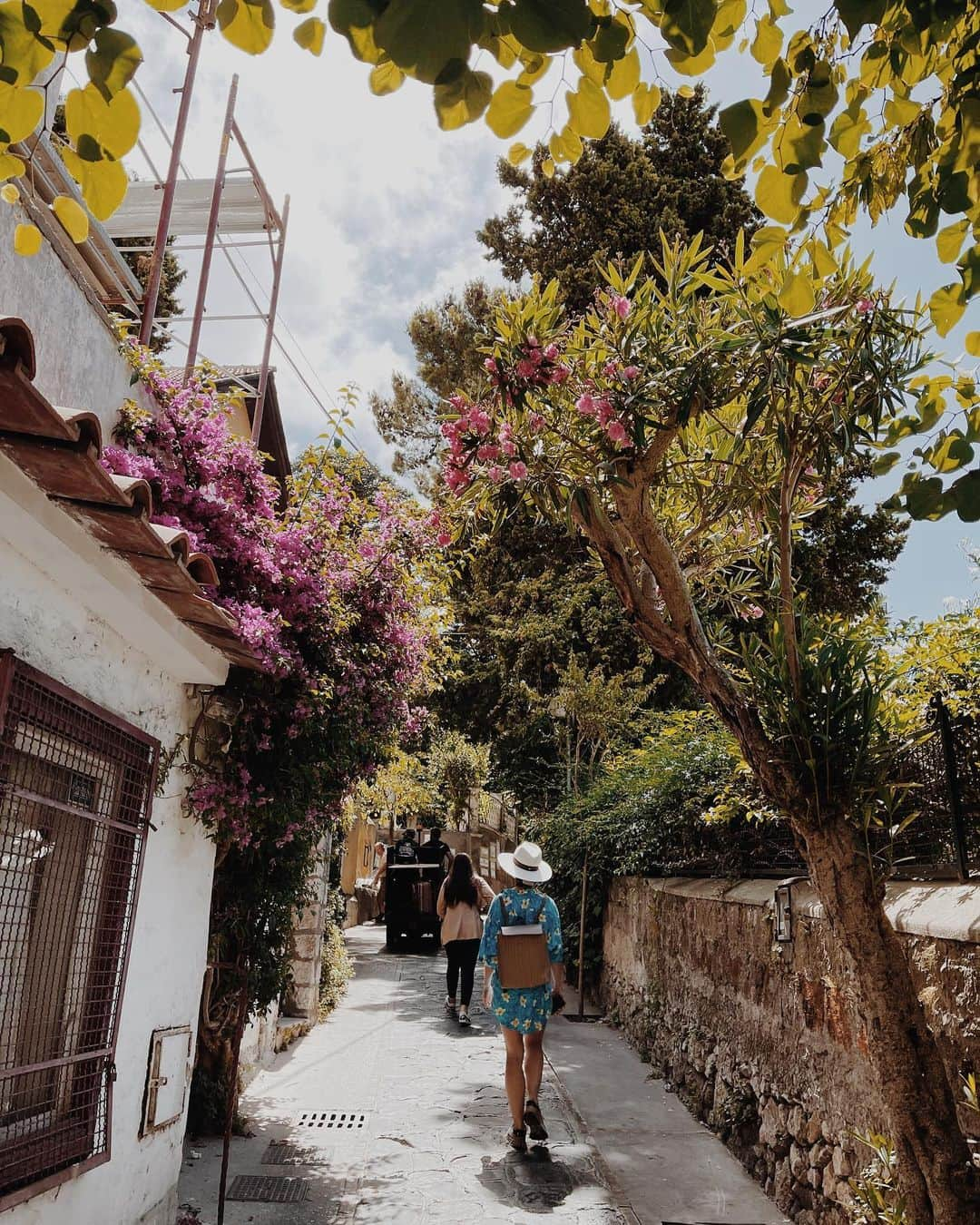 ダニエル・キャンベルさんのインスタグラム写真 - (ダニエル・キャンベルInstagram)「🦋」8月5日 6時12分 - thedaniellecampbell