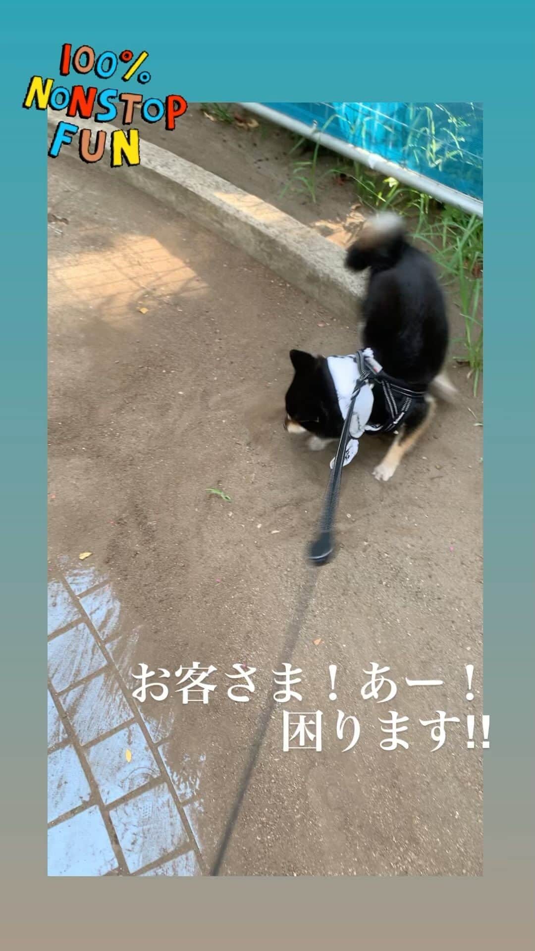 のインスタグラム