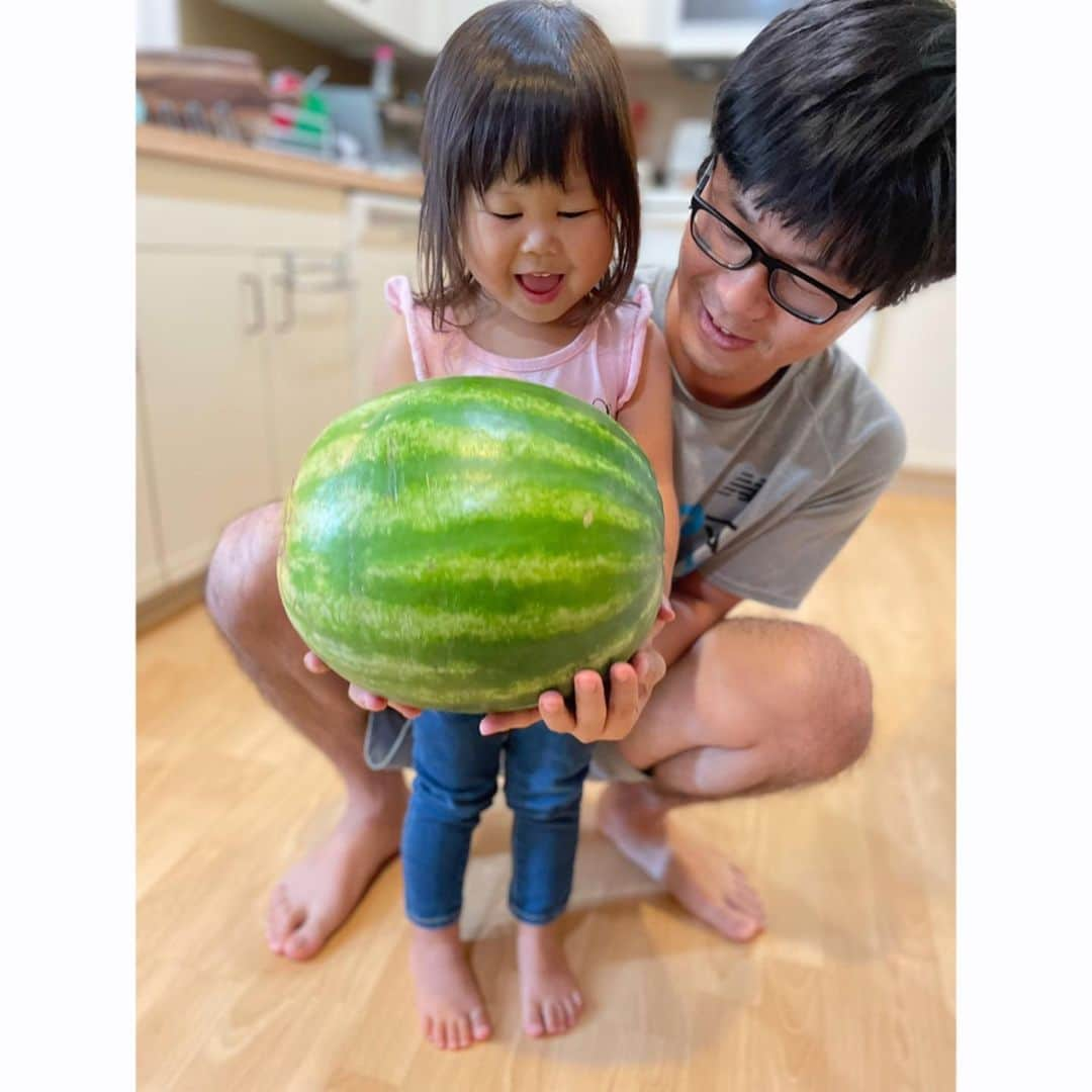 ぽるママさんのインスタグラム写真 - (ぽるママInstagram)「. . でっかいスイカ〜〜〜🍉🍉🍉✨✨✨  ぜーんぜん買うつもりなかったのに 一玉＄2.49だったので買っちゃった🤗❤️‍🔥  ちわちゃん重くて持てなかったから 計ってみたら8kgあったよ🐝💭  好きすぎて最後は入ってました🍉🍉🍉  #スイカこんなに安いのに #なんでちーちゃいキュウリは #1本で2ドルするん？」8月5日 11時35分 - poruporumama