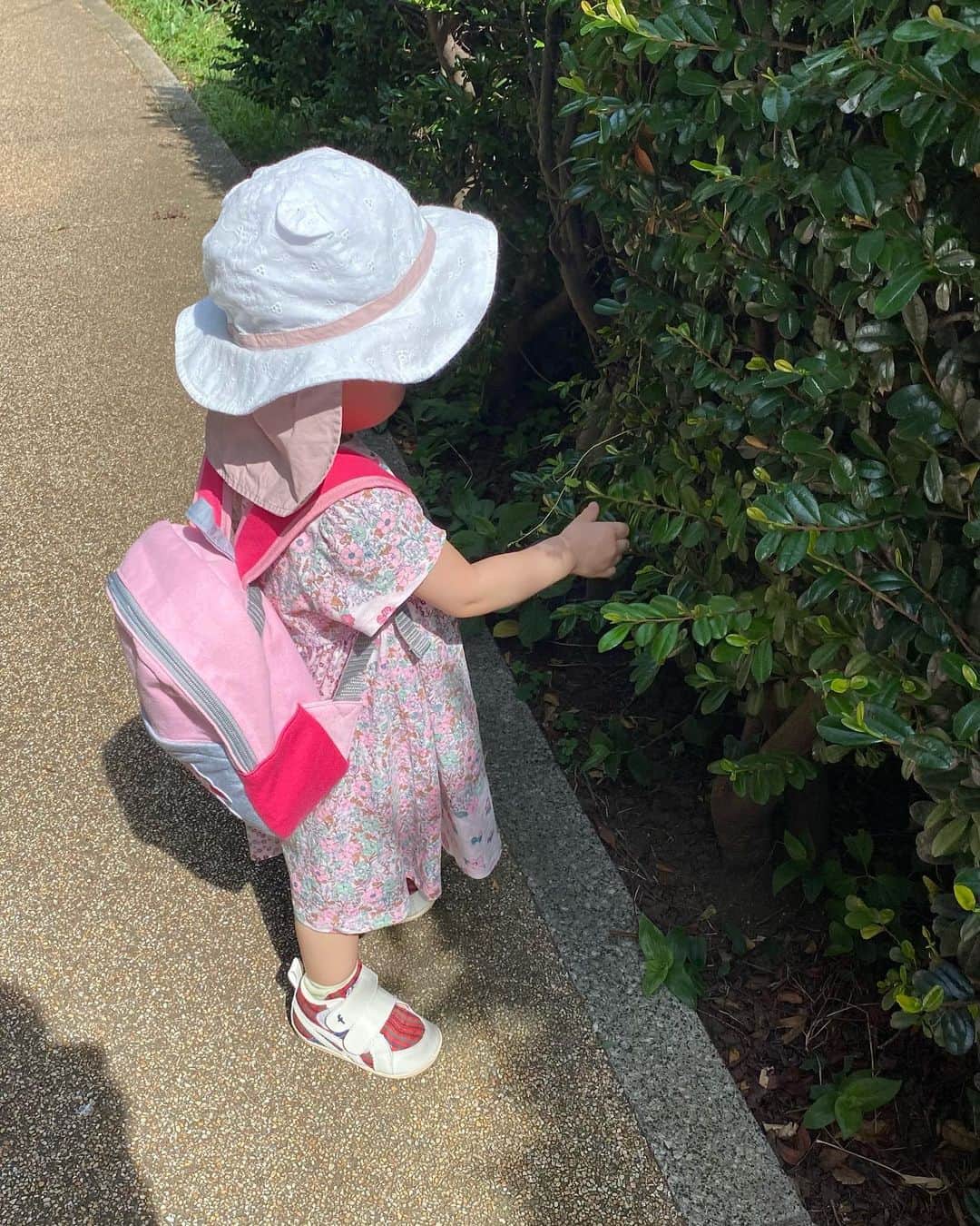 瀬稀ゆりとのインスタグラム：「My sweetie. 💜 She is a tomboy.😆  とある日のお散歩。 ブルーのお洋服だと99%「男の子ですか？」と聞かれる娘😂 おてんばに成長中です。  それにしてもこの日の服装はピンク過ぎたかしら💦  #mydaughter #japan  #お散歩 #1歳4ヶ月」