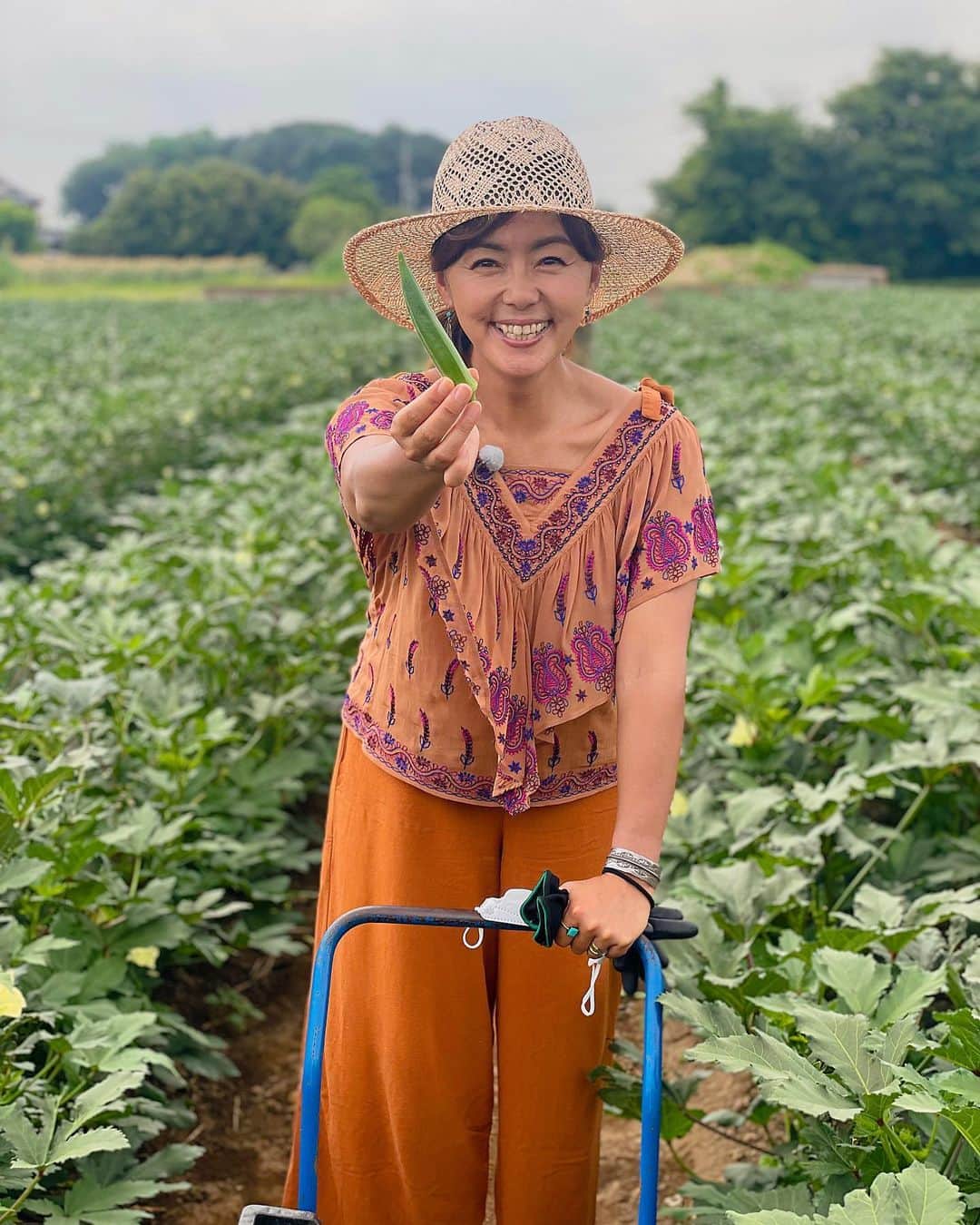 のインスタグラム：「マネージャーからのお知らせ📺  明日8/6 18:30〜 テレビ朝日『ごはんジャパン』 埼玉県深谷 オクラ編 田中律子 出演いたします👩🏻‍🌾  オクラの収穫体験をさせてもらって、 “生”で食べるオクラの美味しさに感動🤩 その時の律子の味わう顔は写真4枚目で🤳  オクラ×おうどん 絶対間違いない組み合わせですが、 どんなオクラうどんが登場するのか😋 おたのしみに！！！  撮影協力いただいた、松島農園さん。 ありがとうございました。 美味しい🌽もごちそうさまでした✨  出演： 長谷川匡俊 さん （『手打ちうどん 長谷川』店主） #駒木根葵汰 さん #田中律子  #テレビ朝日 #ごはんジャパン #埼玉県#深谷 #オクラ#うどん #地産地消」