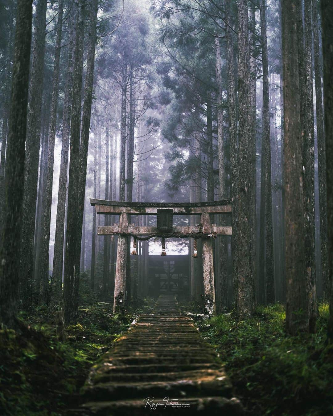 Ryoyaのインスタグラム：「I got up at 4am and drove an hour to get here⛩ the place was so quiet even the birds were sleeping😂  前から行きたいと思ってた賀茂神社に向けて朝４時に起床😂また冬の雪景色の時にでも来てみたいかな〜☃️  #kyoto #kamoshrine #京都 #賀茂神社 #京北 #GFX100」