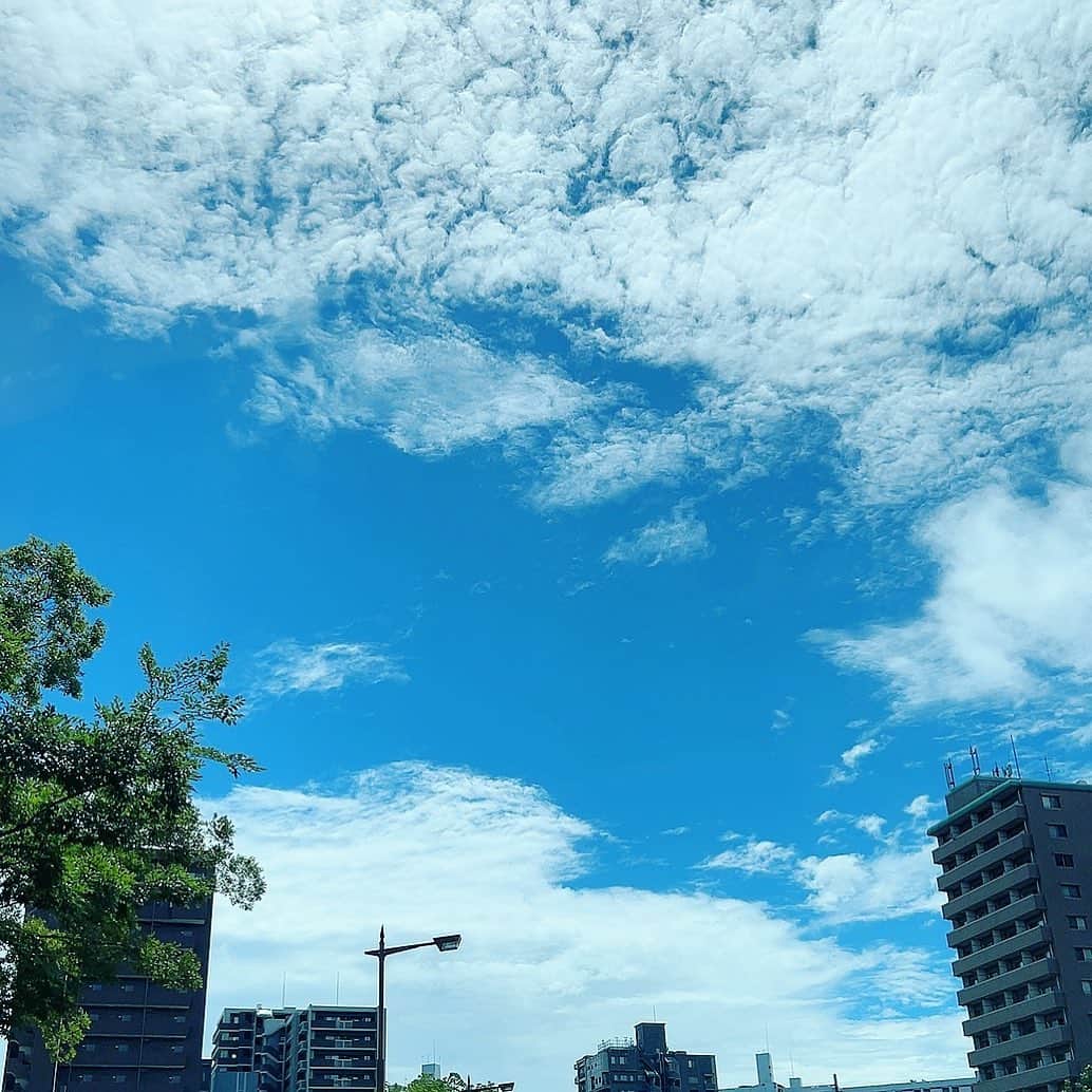 八幡美咲のインスタグラム：「【７７年】  8月6日。 広島では、77回目の原爆の日を迎えました。  今年はフロントドアを担当し、 番組の中で 小嶋アナウンサーが取材された 「被曝電車と女学生の青春」をお伝えしました。  元広島電鉄の運転士として、 原爆を経験した92歳の女性。 当時14歳。なかなか男性と一緒に外を歩けない時代 電車で交換したラブレター。  当時も今の私たちと変わらない 青春を謳歌していた学生の生活があったことが 手に取るようにわかりました。  その時あったささやかな幸せ。 その時ともに過ごした仲間との思い出。 生まれ故郷、広島の懐かしい町並み。  当たり前にあった日常が確かにそこにはあった。 77年前だけど、薄れない記憶の重み。  「平和」について 考えさせられた1日でした。  🕊 #Hiroshima #広島」