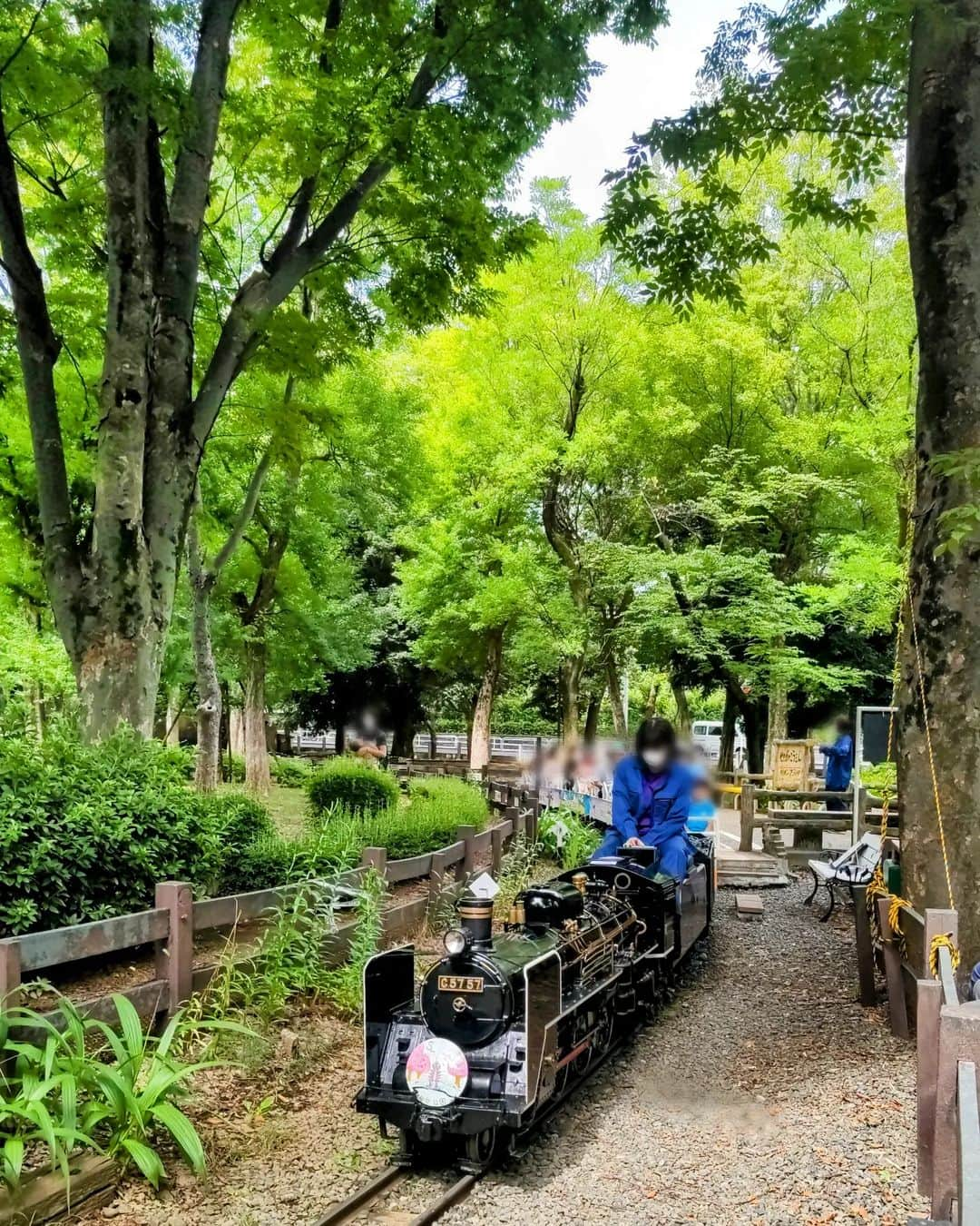 中田有紀さんのインスタグラム写真 - (中田有紀Instagram)「SLに乗った🚂！緑が鮮やか〜🌿 #ミニsl #キンカン三姉妹 #世田谷公園」8月6日 18時58分 - akinakada0508