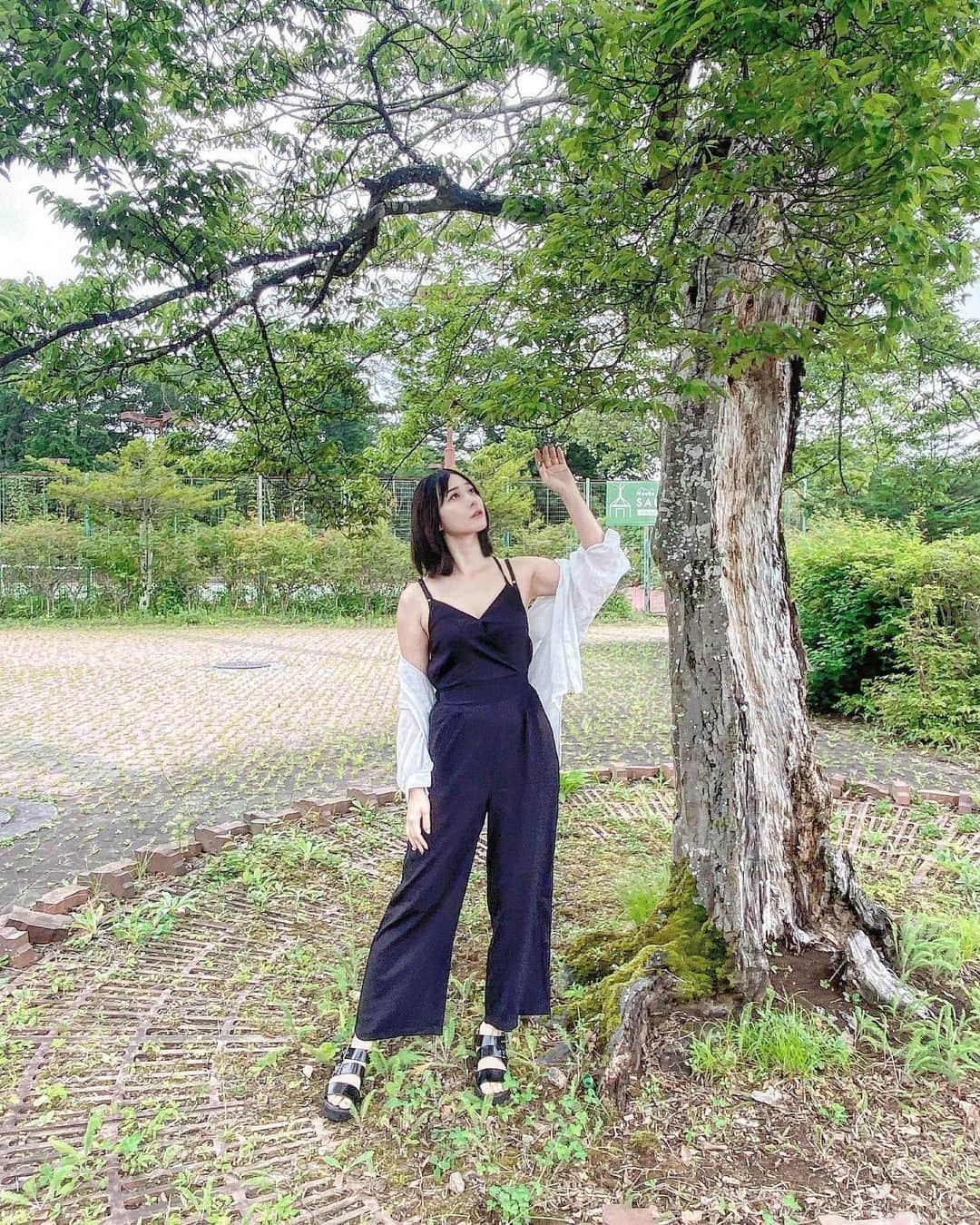 はりーのインスタグラム