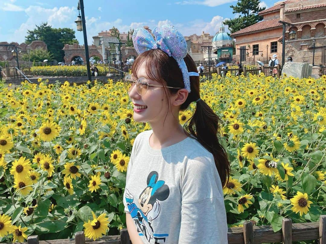 野中美郷のインスタグラム：「♡ 向日葵🌻🌻🌻  #東京ディズニーシー #ディズニーシー #ディズニー #向日葵」