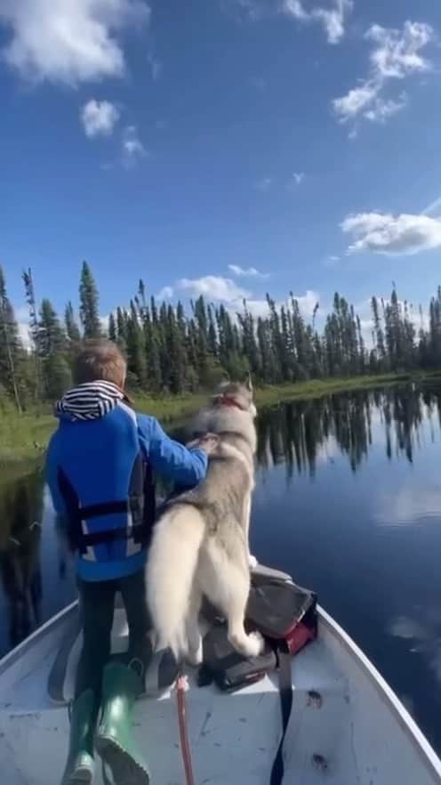 フランシスコ･ラチョースキーのインスタグラム：「Into to the wild! Canadá edition 🇨🇦 #nophonenoproblem #fishing」