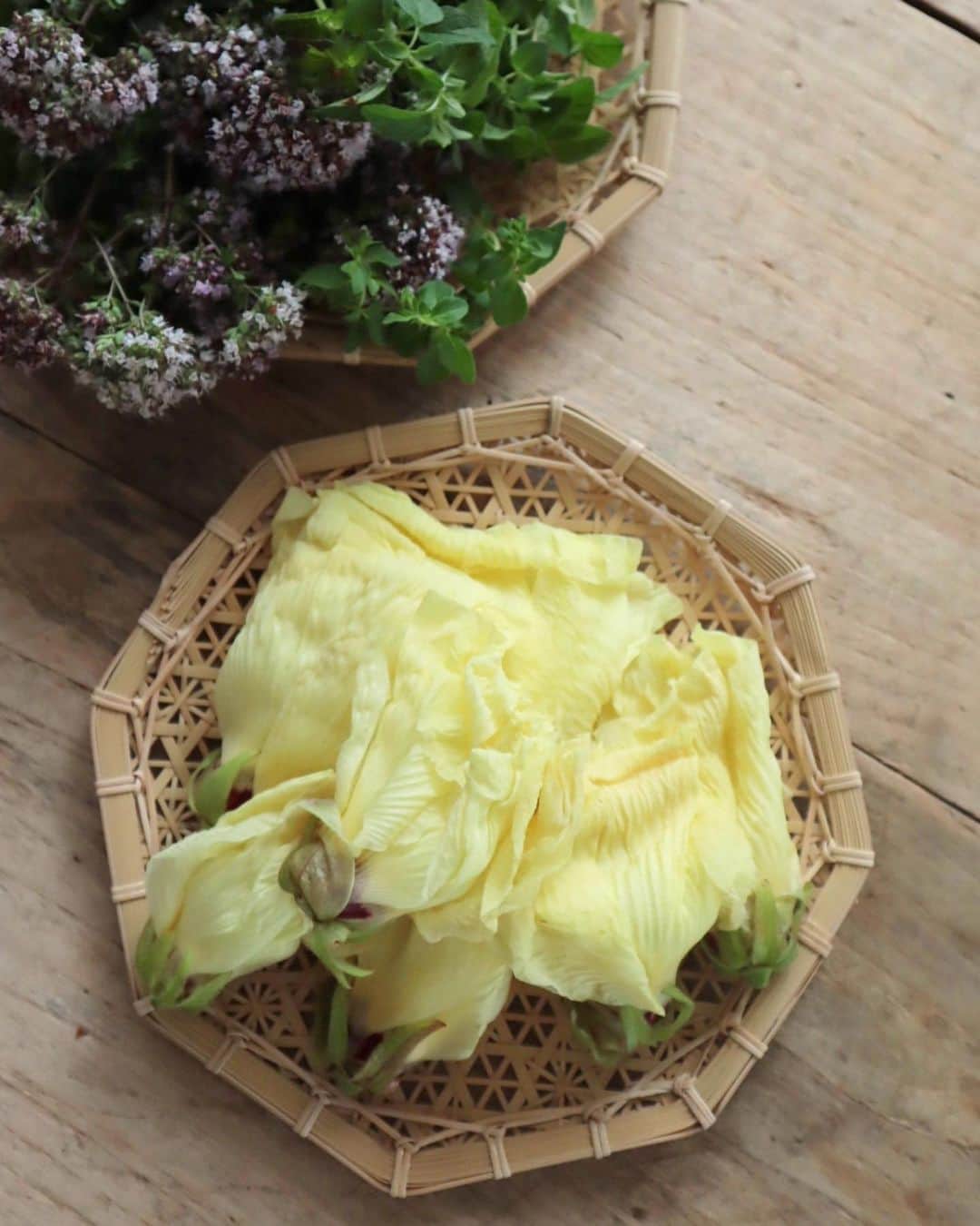 のインスタグラム：「sun.7 Aug.2022 朝にキレイに咲く一日花の花オクラは夏の知らせ。 新鮮な朝採りを @nomurasayaka__nomura_farm__  が届けてくださいました♡ エディブルフラワーだからいつもどうやって 食べようかなぁと思うんだけれど、やっぱりお浸しかな？ オレガノの花もかわいい♡」