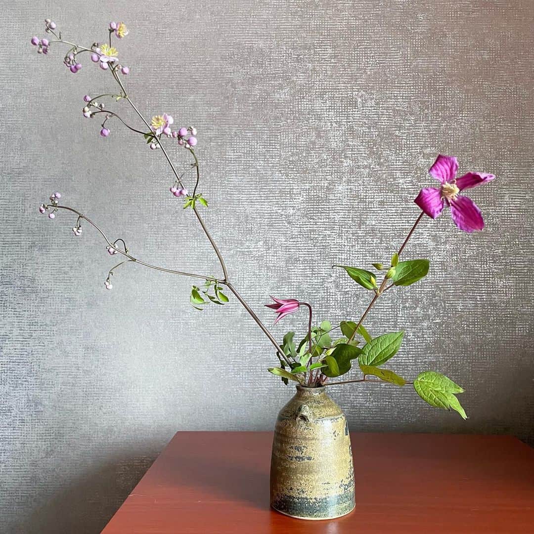 住吉美紀のインスタグラム：「昨日の茶花を生け直す。和花の可愛らしさ、自然のフォルム、素朴な美しさにはとても心惹かれる。 鉄線、紫金唐松、松本仙翁、草牡丹。 お花を眺め、昨日の余韻に浸る。 一生忘れないひととき。 思い返すと本当に、本当に、しみじみと感謝の念が湧いてきます。すべてに。  社会の中で仕事ができていること。 しかもめちゃくちゃやりがいのある仕事であること。 人とのご縁に恵まれていること。 人の優しさや共感に支えられていること。 運にも恵まれていること。 お茶の道に出会えたこと。 喜びを分かち合える仲間がいること。 自分が健康であること。 平和があること。  すべては、当たり前じゃないのだ。 だからこそ尊く、ありがたい と思うと、なんだか涙が出てくる。 時折こういうことを心底感じる機会があることも大切なことだと、しみじみと。」