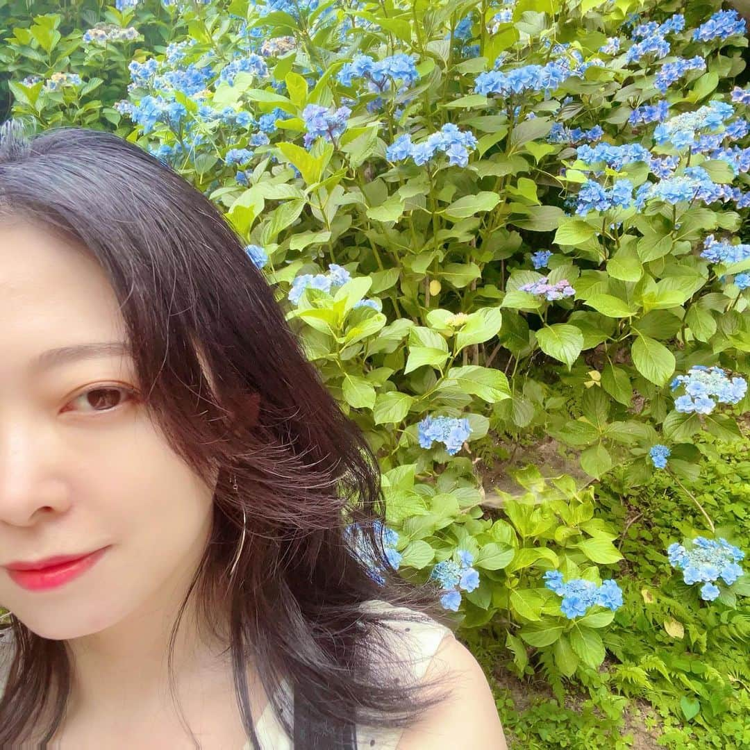 榎本温子さんのインスタグラム写真 - (榎本温子Instagram)「先月、茨城に紫陽花を見に行きました☺️水中華というそうです。綺麗すぎた🥺  #雨引観音 #雨引観音あじさい祭 #茨城 #紫陽花 #あじさい祭り」8月7日 19時57分 - atsuko_bewe