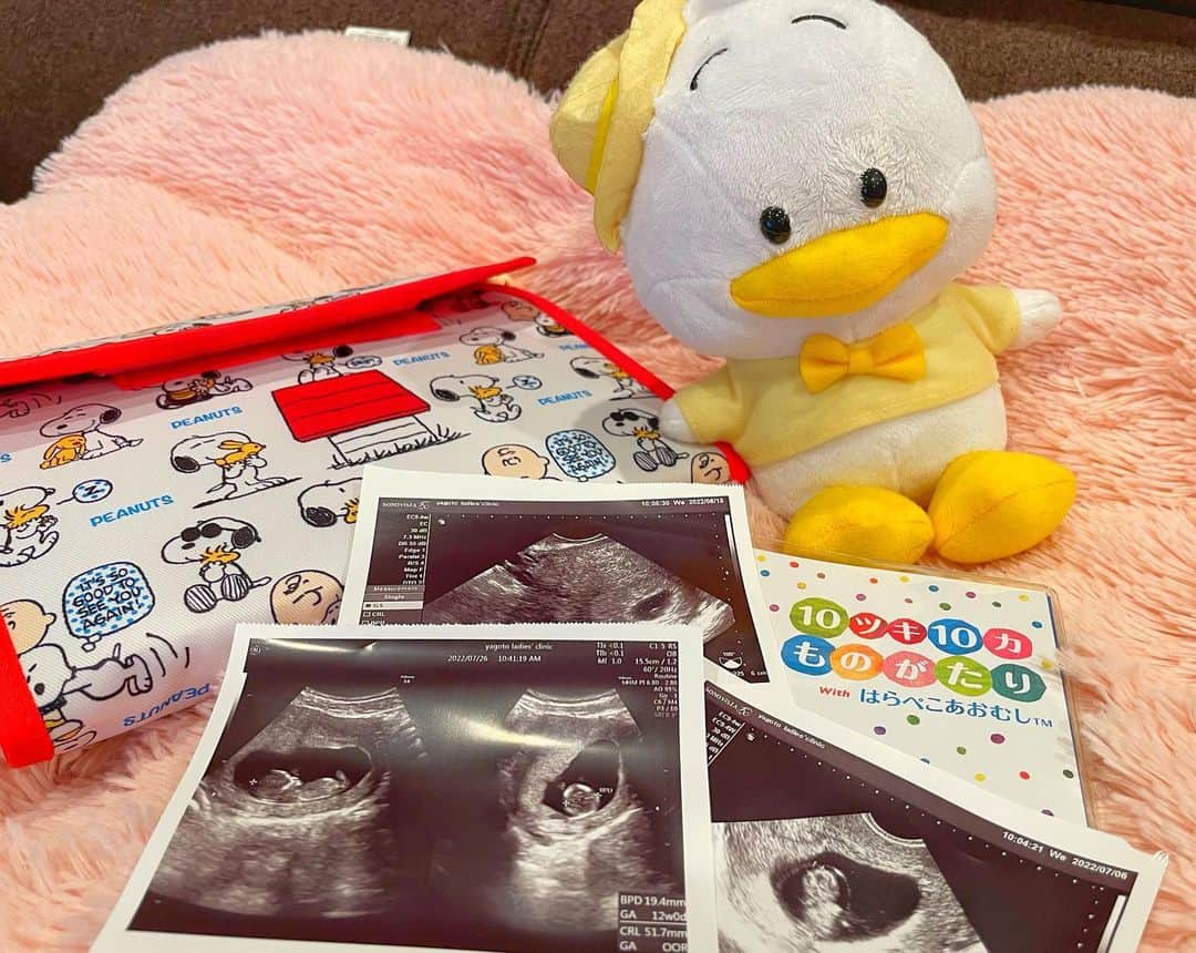 AIRU〔あいる〕のインスタグラム：「ご報告  私事ですが、この度第一子を授かりました🕊  安定期に入り体調もだいぶ落ち着いてきたので、 このタイミングでの報告とさせていただきます！  すべてが初めてのことばかりで刺激的な毎日を送っております🫣💕 あっくんに頼りきりで、支えてもらい感謝の毎日です👨  長らくSNSをお休みさせてもらいましたが、 また少しずつ復活してきますので今後ともよろしくお願いします🙇‍♀️ またたくさんのDMありがとうございます！ すべて見させてもらっております🌻  まだまだ続く妊婦生活、 大切に過ごしていきたいと思います🤰❤️  #baby」
