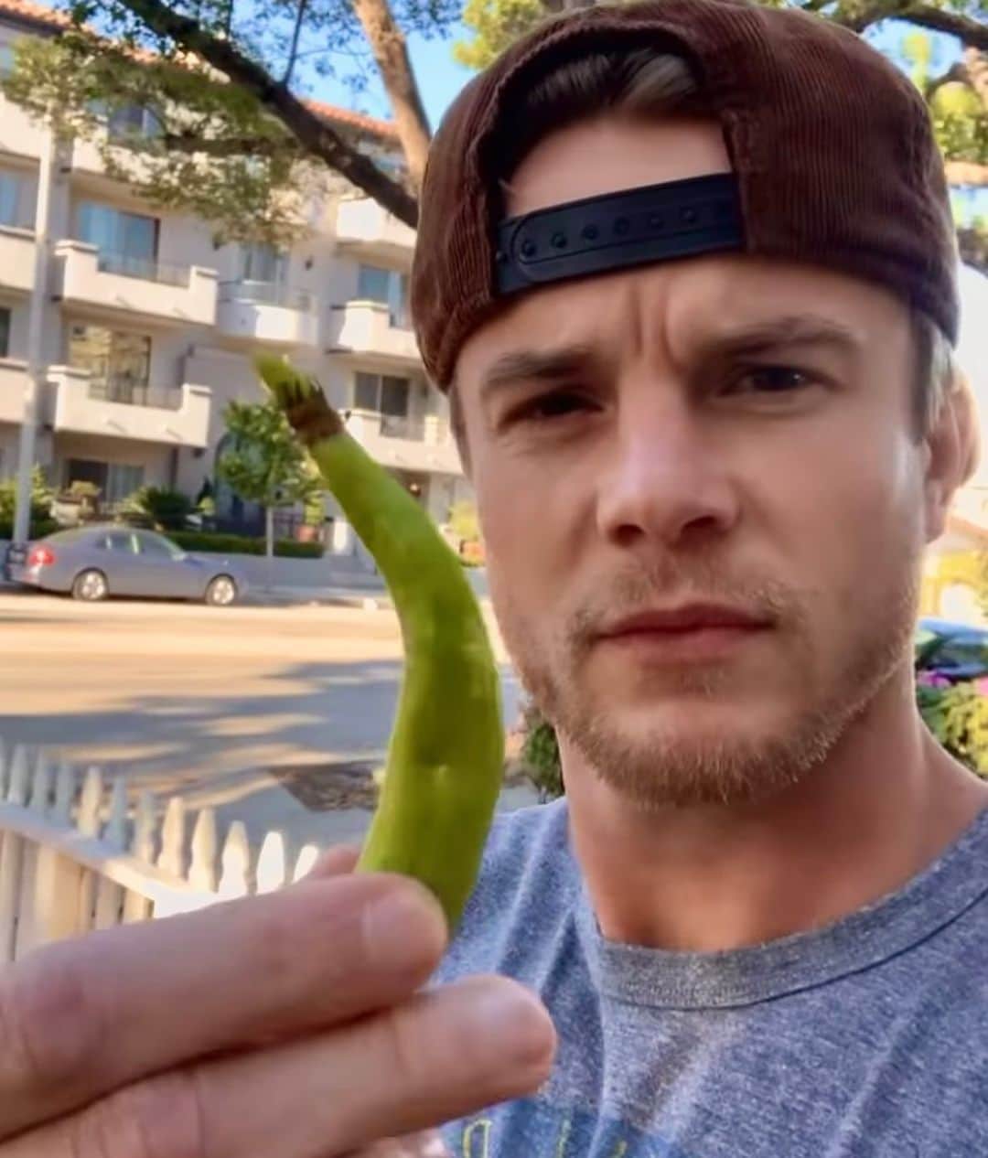 グレアム・ロジャースのインスタグラム：「Successful Pepper Garden」