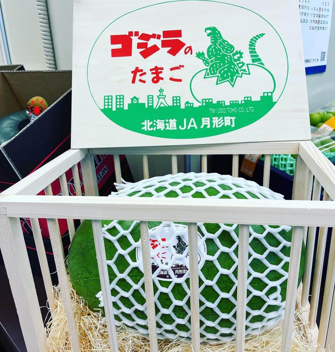 土肥ポン太のインスタグラム：「北海道生まれの「ゴジラのたまご」と言う名のすいか🍉 中からミニラが出てくるのかな？？ んな訳ない！(笑) お中元にどうですか〜？  #ポン太青果　#ゴジラ #godzilla #すいか」