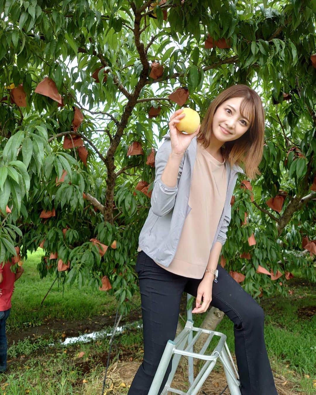 本谷紗己のインスタグラム：「特別に桃狩りの体験をさせていただきました🍑✨  つきあかり、黄色くて大きくて とろっとしていて上品な甘さで美味しいっ🥹！  桃狩りは人生で初めてです🥰 なかなかできない経験でした🍑 ありがとうございます🙇  桃が美味しい季節になりましたね🍑✨  そしてお昼ご飯には @kyuhunsaro さんの 　#滷肉飯 台湾で食べたルーローハンが 美味しくて忘れられず、、✨ 食欲をそそる香りでぺろっと いただきました🤤 本格台湾の味わいが最高でした🫶  今週から #わくわく編集部　は 三週間夏休みです🌞 次の放送は8月5日🏝  #insta_wakayama #wakayama #桃　#台湾料理 #和歌山　#さぴ和歌山 #なんて素敵な和歌山なんでしょう #ポジティブアクティブアグレッシブ」