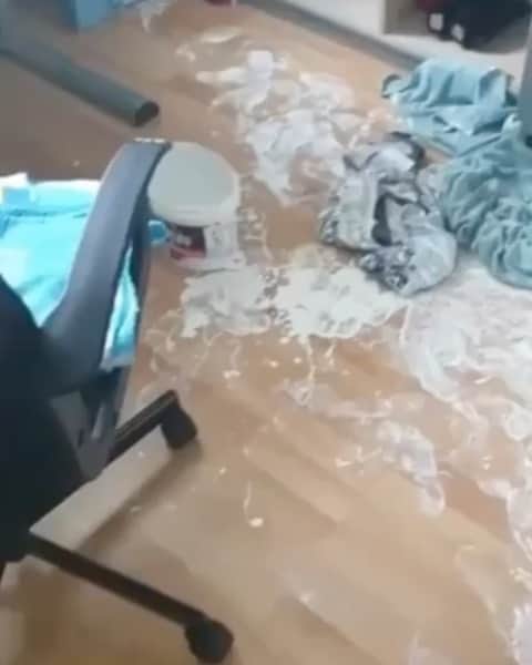 ヤンデルのインスタグラム：「Un poco de pintura! 😶‍🌫️」