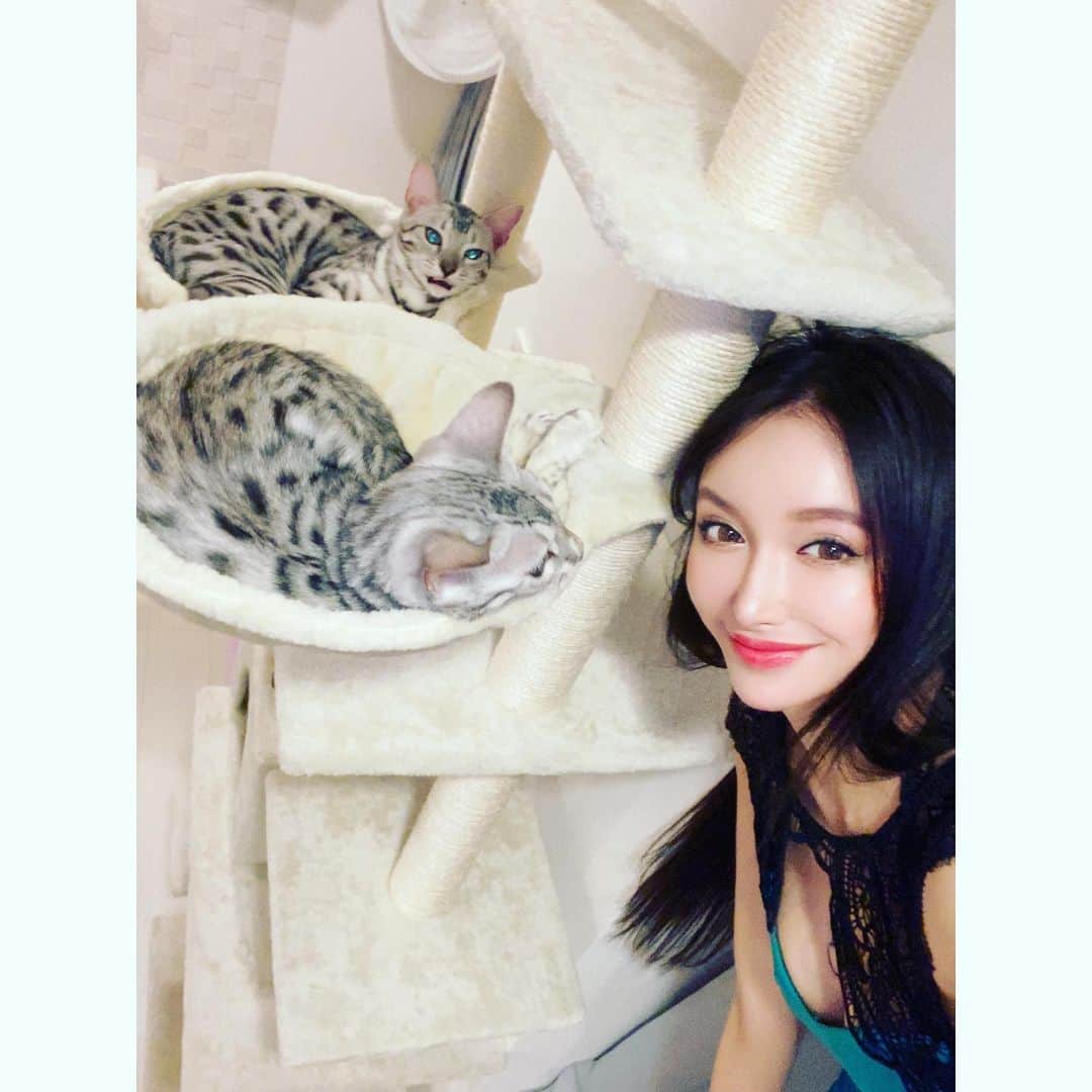 西垣梓のインスタグラム