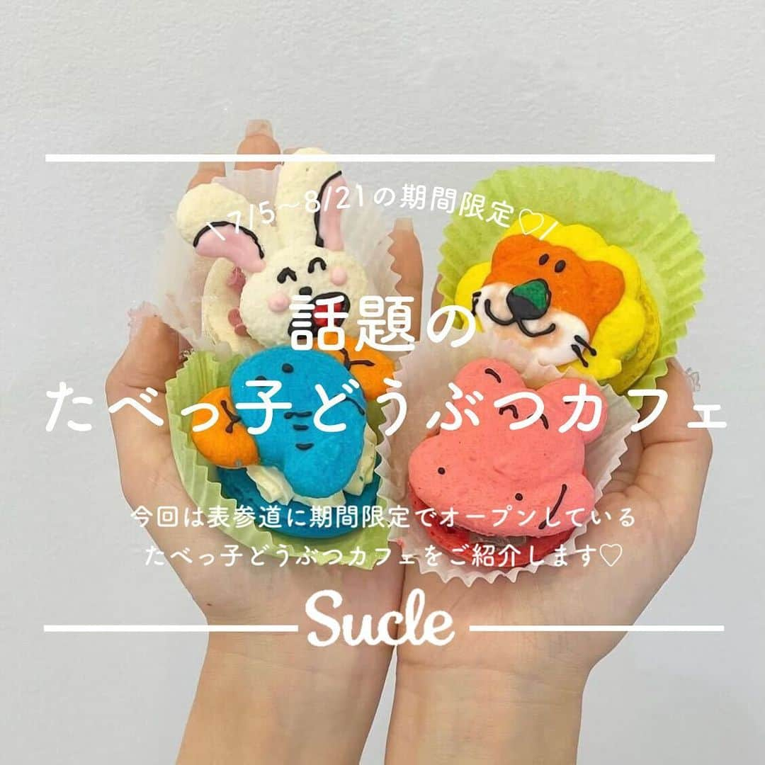 SUCLEのインスタグラム